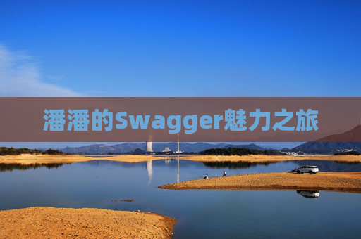 潘潘的Swagger魅力之旅